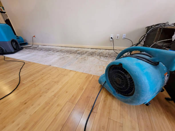 Professional Water Extraction technician working in Hartford, IA